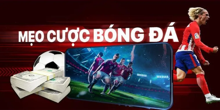 Tìm Hiểu Cá Cược Bóng Đá WIN55 2 Tìm Hiểu Cá Cược Bóng Đá WIN55