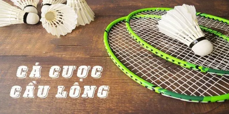 Hướng Dẫn Cách Chơi Cá Cược Cầu Lông Tại WIN55 Một Cách Hiệu Quả