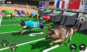 Hướng Dẫn Chơi Game Nhanh Đua Chó Tại WIN55v Hiệu Quả Nhất