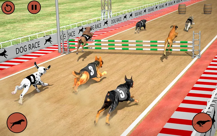 Hướng Dẫn Chơi Game Nhanh Đua Chó Tại WIN55v Hiệu Quả Nhất 2 Hướng Dẫn Chơi Game Nhanh Đua Chó Tại WIN55v Hiệu Quả Nhất