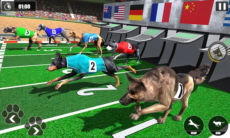 Hướng Dẫn Chơi Game Nhanh Đua Chó Tại WIN55v Hiệu Quả Nhất